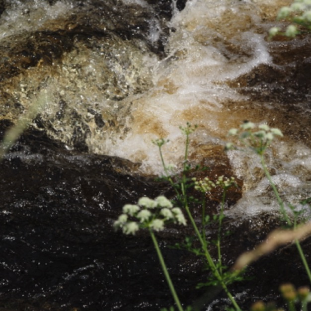 Rock Water